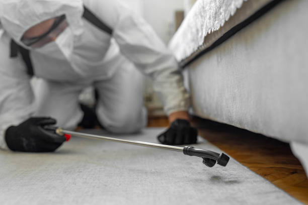 Professional Bed Bug Control technician working in St. Marys, GA