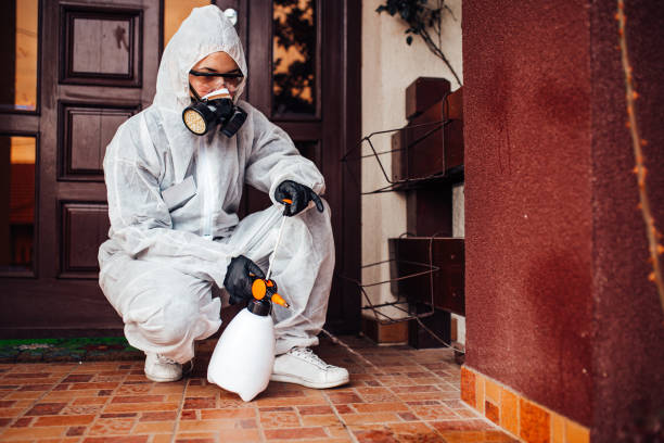 Reliable Bed Bug Control contractor in St. Marys, GA by Nex Pest Control