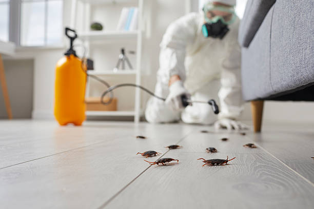 Trusted Mosquito Control service in St. Marys, GA - Nex Pest Control