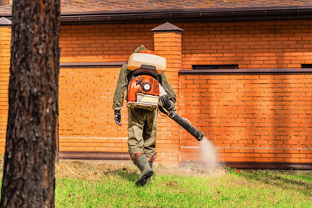 Trusted Rodent Control service in St. Marys, GA - Nex Pest Control